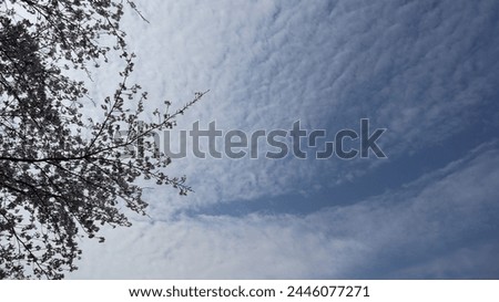 a picture of the sky looking up