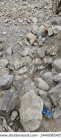 Pictures taken during a site visit to verify the remains of Gabion work after it was washed out by the flood
