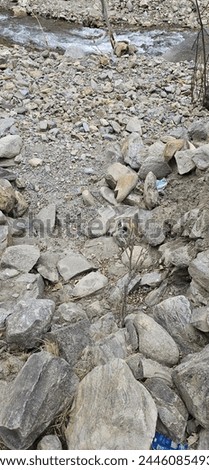 Pictures taken during a site visit to verify the remains of Gabion work after it was washed out by the flood