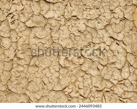 Landscape dried and cracked background. The soil dry land cracked ground Royalty-Free Stock Photo #2446093483