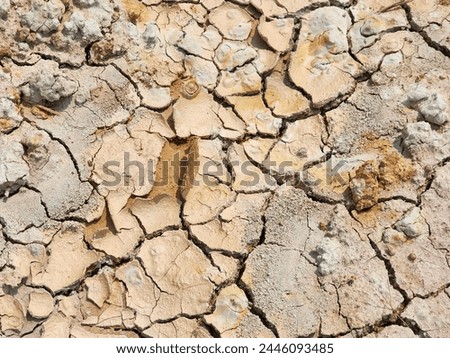 Landscape dried and cracked background. The soil dry land cracked ground Royalty-Free Stock Photo #2446093485