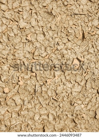 Landscape dried and cracked background. The soil dry land cracked ground Royalty-Free Stock Photo #2446093487