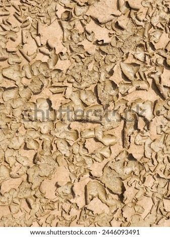Landscape dried and cracked background. The soil dry land cracked ground Royalty-Free Stock Photo #2446093491