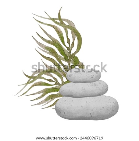 Composition with sea pebble with seaweed bush. Watercolor hand drawn illustration, isolated on white background for icon or logo. Print for cards or textile design. Coral reef and underwater life