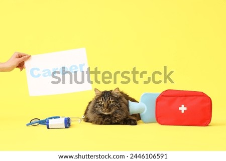 Cute cat, medical supplies and female hand with word CAREER on yellow background