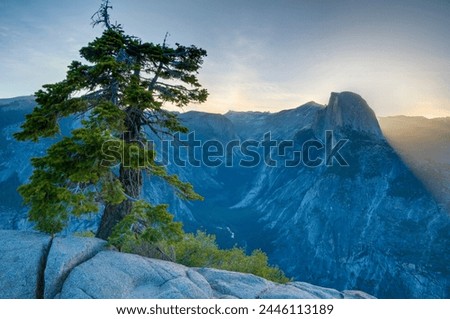 Half Dome from Glacier Point, Yosemite National Park, UNESCO World Heritage Site, California, United States of America, North America Royalty-Free Stock Photo #2446113189