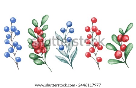 Watercolor set of illustrations. Hand painted branches with blue, red berries, green leaves. Cranberry, cowberry, lingonberry. Currant, blueberries . Evergreen shrub. Harvest. Isolated food clip art