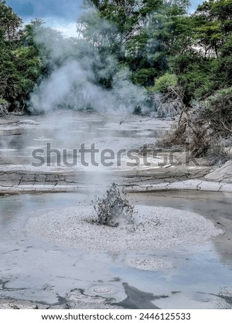Boiling sulfur springs, volcanic activity, zone of geothermal activity in the Rotarua region in the volcanic zone of the North Island of New Zealand Royalty-Free Stock Photo #2446125533