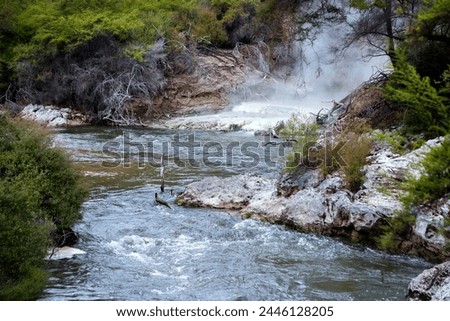 Hot springs in a zone of volcanic activity, geothermal activity in the Rotarua region in the volcanic zone of the North Island of New Zealand Royalty-Free Stock Photo #2446128205