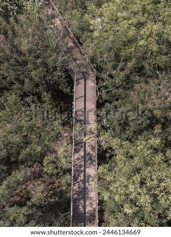 Aerial view of a wooden suspension bridge in the middle of the forest surrounded by lush green forest on a sunny morning. Sunlight through the leaves, Wooden bridge crossing forest tropical eco-park.