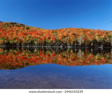 Reflection of autumn colors in lake, Heart Lake, Adirondack State Park, New York State, United States of America, North America Royalty-Free Stock Photo #2446143239