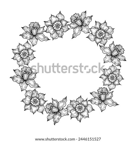 Hand drawn black pencil daffodil drawing wreath border isolated on white background. Can be used for cards, label and other printed products