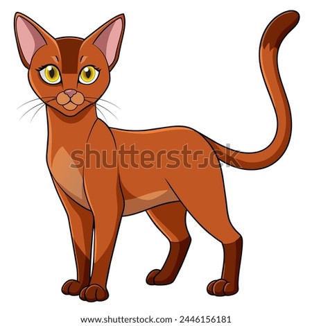 Abyssinian cat vector illustration isolated on white background in cartoon style.