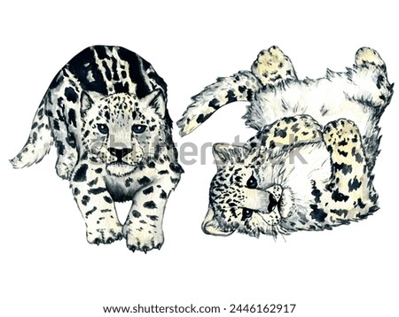 Watercolor wild forest animals: snow leopard kitten, irbis isolated on white background. Woodland hand-painted nature illustration for kids design, postcards, poster and print. Clip art for nursery