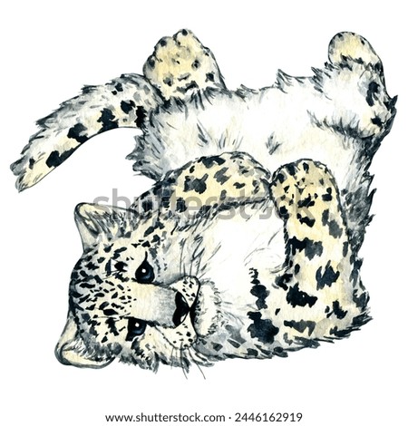 Watercolor wild forest animals: snow leopard kitten, irbis isolated on white background. Woodland hand-painted nature illustration for kids design, postcards, poster and print. Clip art for nursery