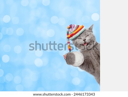 Happy cat wearing warm winter knitted woolen hat with pompon  holds snowball behind empty white banner. Blurred blue background