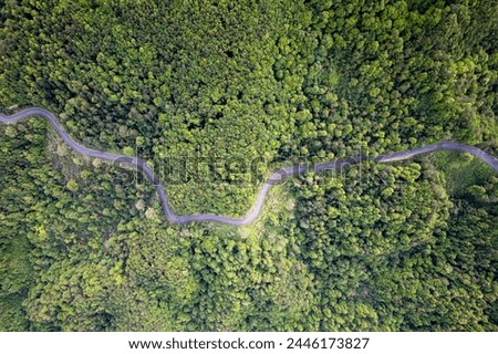 Drone view of a forest trail，road，park，the winding roadway