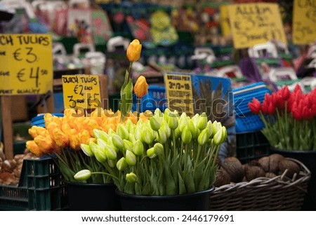 Amsterdam, Netherlands - 01 14 2018: Tulips in flower market Royalty-Free Stock Photo #2446179691