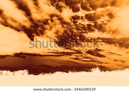Beautiful landscape, dramatic heaven with clouds and field with trees, mystical atmosphere, cold weather, natural background for text, orange color, invert photography