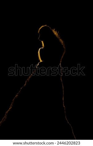 Chacma baboon sits on termite mound backlit