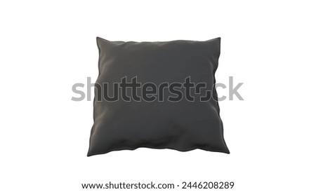 a pillow on a white background with a black pillow