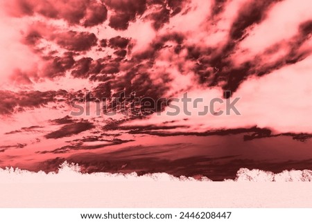 Beautiful landscape, dramatic heaven with clouds and field with trees, mystical atmosphere, cold weather, natural background, red color, outdoor, inverted photo