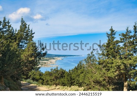 Dirt road through coniferous forest along the north coast of Akamas Peninsula, Paphos district, Cyprus. Royalty-Free Stock Photo #2446215519
