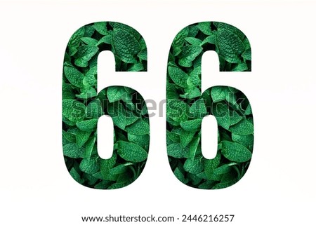 Number sixty-six made of green leaves isolated on white background. Font style of numbering. Nature concept of number 66 Royalty-Free Stock Photo #2446216257