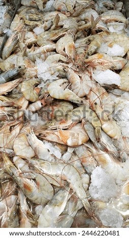 frozen shrimps with crushed ice