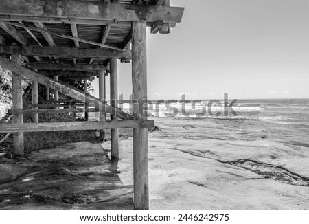 black and white beach picture