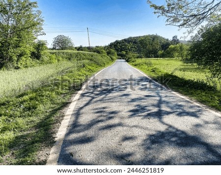 Embark on a visual journey through solitude and serenity with this captivating photo of a lonely road embraced by lush greenery.  Royalty-Free Stock Photo #2446251819