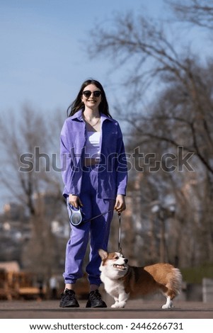 Pembroke Welsh Corgi puppy walks with its owner on a sunny day in a city park. Standing next to the owner. Happy little dog. Concept of care, animal life, health, show, dog breed Royalty-Free Stock Photo #2446266731