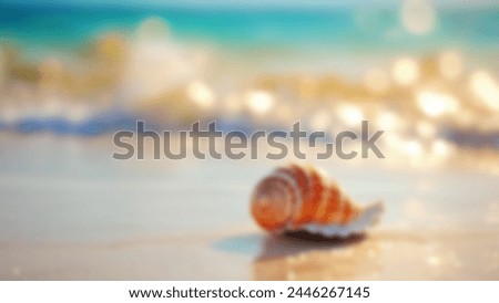 Beach with shell blurred background