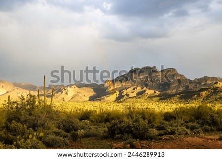 Saguaro National Park, Desert Sunrise, Desert Sunset, Rainbow in the Desert, Cactus Landscape, Cacti, Arid Landscape, Arizona, Tucson Arizona, Saguaro, National Parks, Wonders of the World Royalty-Free Stock Photo #2446289913