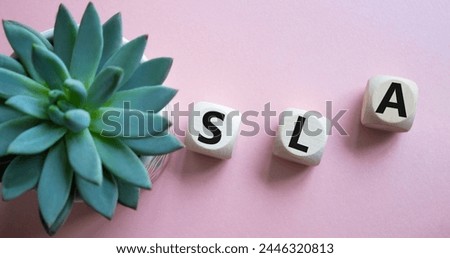 SLA - Service Level Agreement. Wooden cubes with word SLA. Beautiful pink background with succulent plant. Business and Service Level Agreement concept. Copy space.