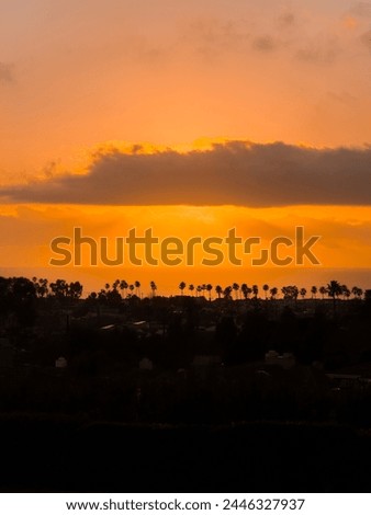 California sunset from hilltop with ocean and silhouette of palm trees in the distance
