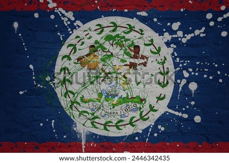 colorful painted big national flag of belize on a massive old brick wall
