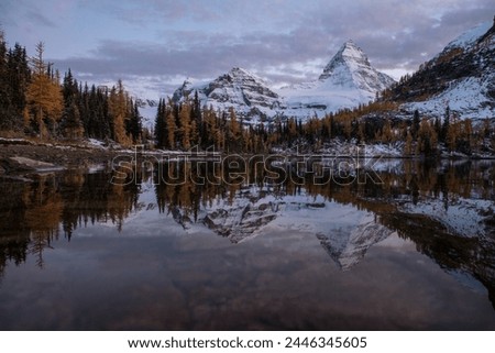 Mount Assiniboine, Canadian Rockies, Alberta, Canada, Mountain Landscape, Alpine Wilderness, Scenic Beauty, Nature Photography, Rocky Mountains, Outdoor Adventure, Alpine Lakes, Snow-Capped Peaks, BC
