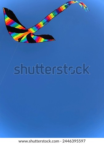 Colorful kites flying in the blue sky