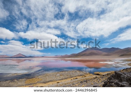 Laguna Colorada, Bolivia. The Red Lagoon, Sunny Day. Bolivia. Royalty-Free Stock Photo #2446396845