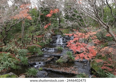 Pretty waterfall in a Japanese garden in the autumn.
