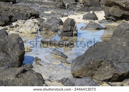 A small pool of water is left behind among the rocks at low tide