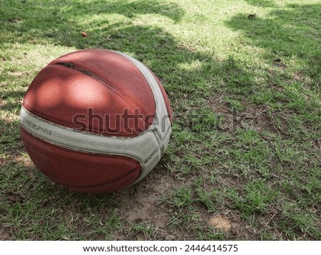 An old basketbal in the lawn with sunlight.