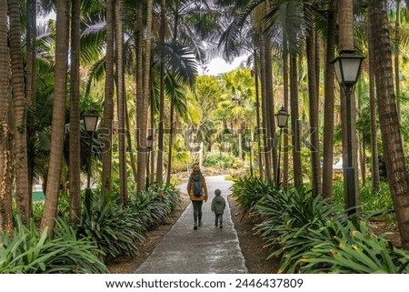 A mother with her son walking in a tropical botanical garden with many palm trees, family vacation concept in a beautiful landscape in spring