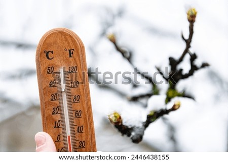 Sharp cold snap and snowfall on budding trees in spring. Royalty-Free Stock Photo #2446438155