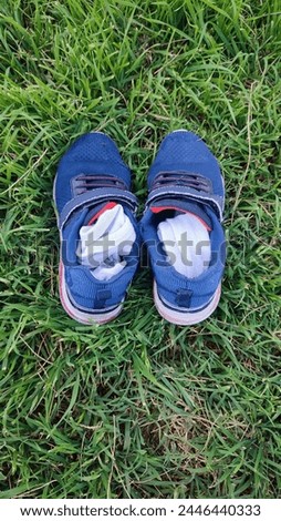 blue sneakers shoes and socks on green grass. High quality photo