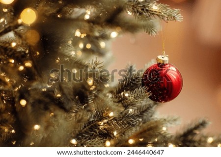 The red ball on the Christmas tree