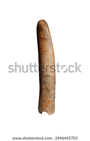 Ancient carved antler, Pierced Baton isolated on white background. Horse picture engraved on the antler. Recoding through Drawing. 