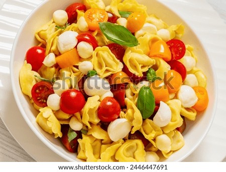 tortellini salad with cherry tomatoes, mini mozzarella, fresh basil leaves in white bowl, dutch angle view, close-up Royalty-Free Stock Photo #2446447691