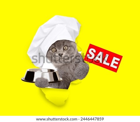 Cat wearing chef's hat looking through the hole in yellow paper and holding empty bowl